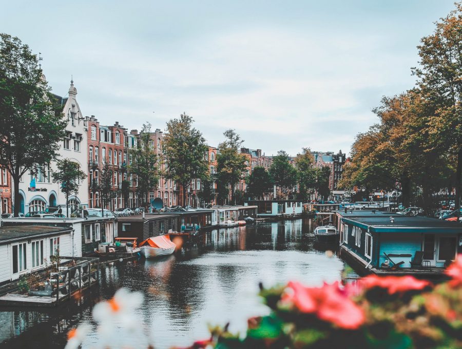 anastasia-dulgier-QboRVYU6sfQ-unsplash